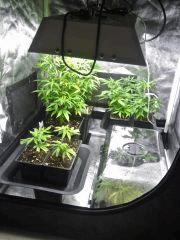 Espace Cro'