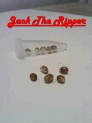 Jack The Ripper