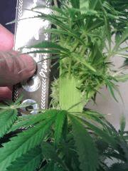 JTR I F 23 (6)
