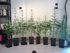 8 femmes !