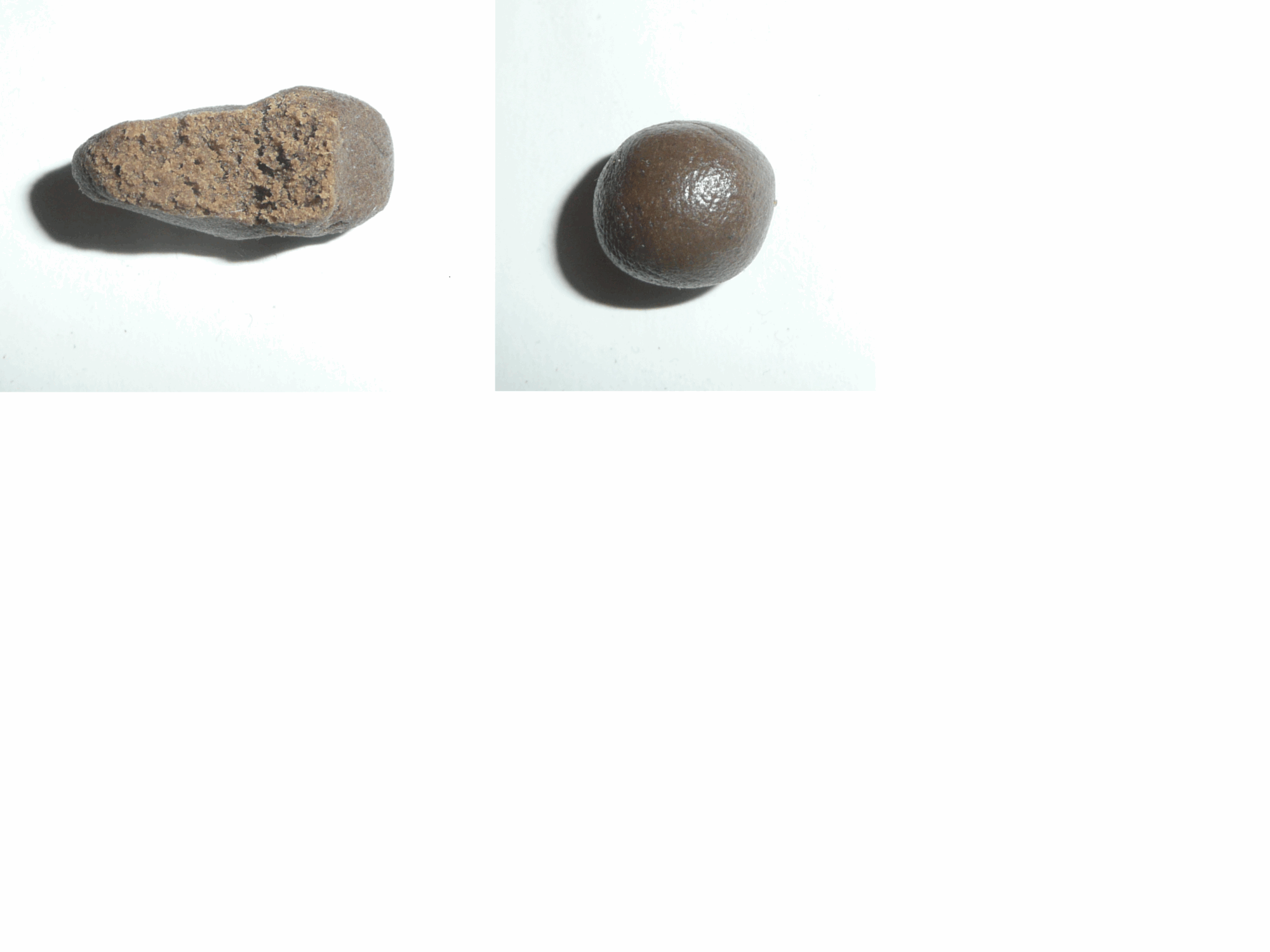 gallery_672394_5303_853220.png