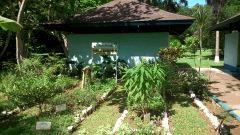 Herb garden