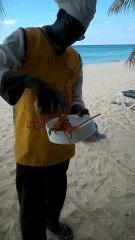 Vendeur de Homards