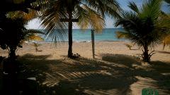 Plage vu du restaurant The rainbow arch