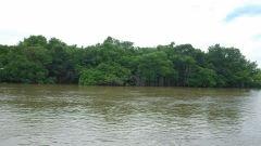 DSC_1190.JPG