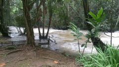 YS falls 1