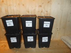DSCN0837 (Copier)