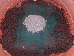 DSCN0693 (Copier)