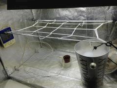 IMG 0672
