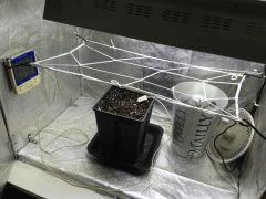 IMG 0676