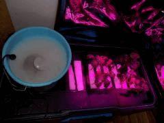 DSCN1665 (FILEminimizer)