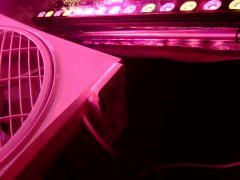 Barre Bionic n° 2 avant gauche