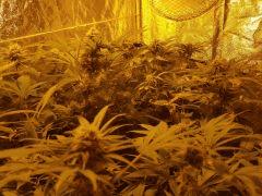 Flo 43 (7)
