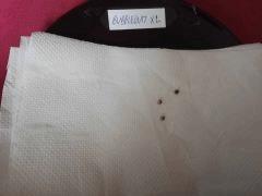 Germination