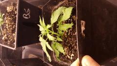 20171107 074230