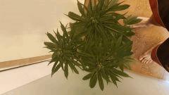 20170711 130135