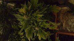 20170207 144210