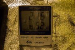 IMG 6875