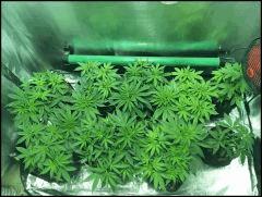 C 42 02 04 (4)