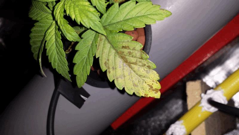 med_gallery_786121_5401_150465.jpg