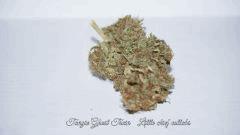 TANGIE GHOST TRAIN B