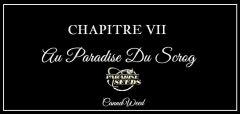 CHAPITRE VII