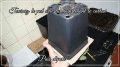 rempotage 3