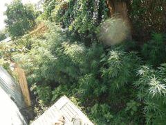 DSCN0299