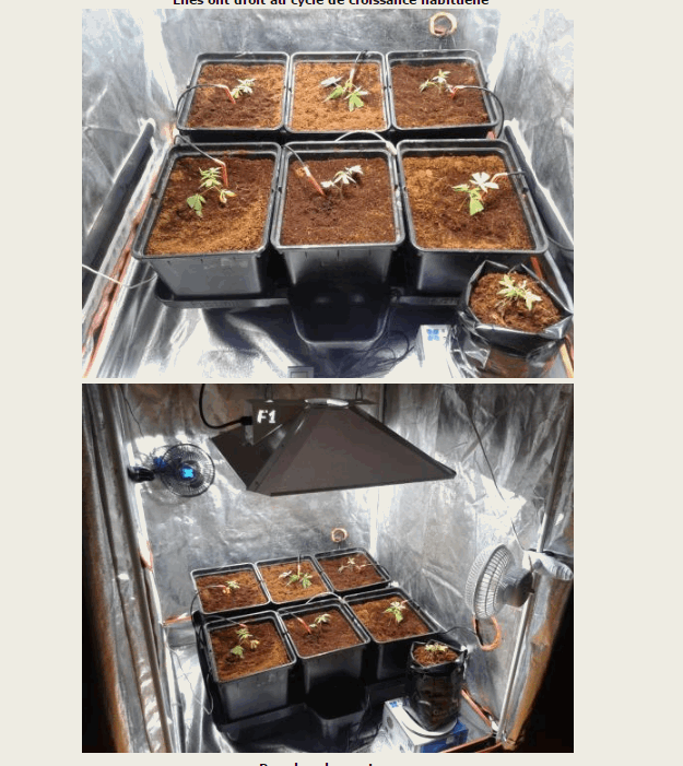 gallery_862190_5436_305215.png