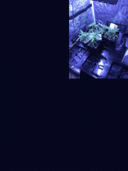 test photovideo   Copie (Copier)