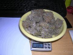 2 (2)