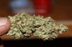 AK47 phéno 1