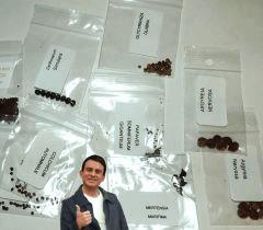 des seeds du printemps 2017 , première commande
