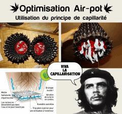 Optimisation  Ai Pot