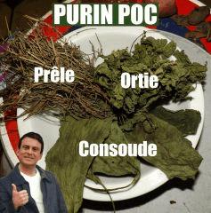 préparation triple purin