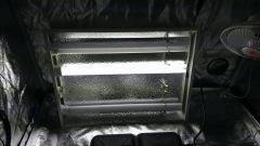 DSC 0737