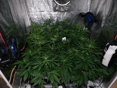 HPIM9307