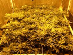 C40-F30