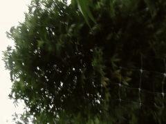 PpW5ki5F55lZMF8n4l0CtzLtzrUtfN0OxUSp6uG1VgnZdUKG6kBTUaAfS1y58yaBP9LIhw=w1280 h695