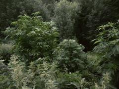AZaAMBjTv7DqtbxRHfM8YG9HwKSVibHBWFybYSzpujvN1CxbiDn9BhqSrkC MRva1byo1Q=w1280 h695