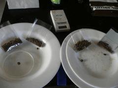CS#15  Ice O dried crumble