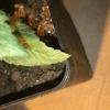 IMG 0475
