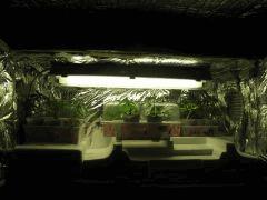 IMG 8259