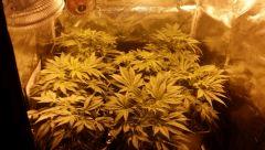 Stretch  11 (21)