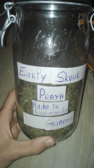 Praya 2