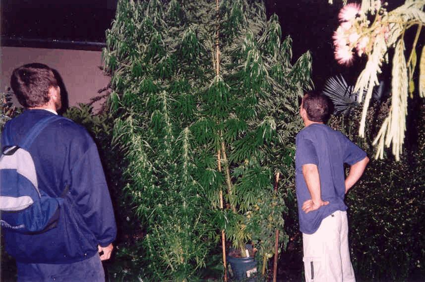 gallery_672394_5565_66366.jpg