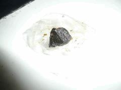 ICEO CS#15