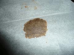 Critical skunk ICE O