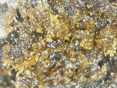 ICE O