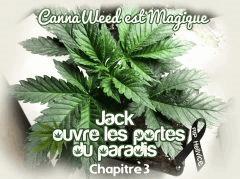 chp 3
